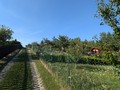 Fotka 10