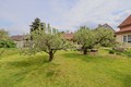 zahrada