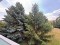 Fotka 2