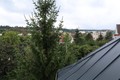 Fotka 25