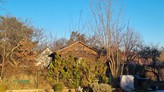 Prodej chaty s pozemekem 334m2 na hranici hl.města Prahy, uprostřed krásné přírody v obci Zdiby