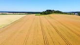 Prodej orné půdy o výměře 37764 m2