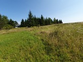 Prodej, stavební pozemek 3719 m2, Plazy - část Valy, Mladá Boleslav